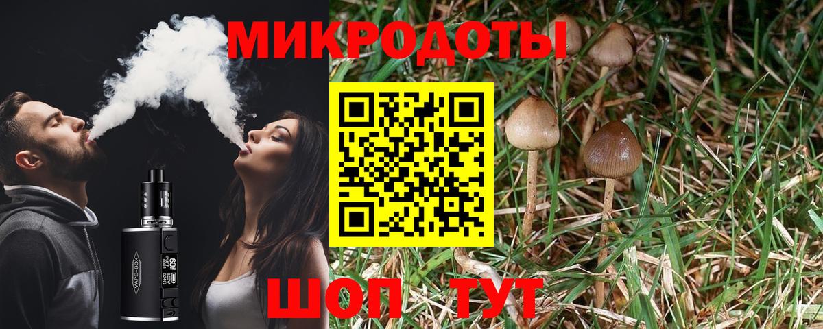 Псилоцибиновые грибы ЛСД  где купить наркоту  Серов  Вход с VPN  Галлюциногенные грибы прущие грибы 